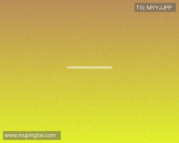 篮球明星库里妻子揭秘她的生活与事业成就以及对库里的支持与影响